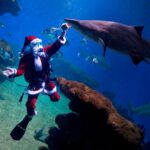 Palma Aquarium ofrece la nueva actividad Planetarium en Navidad