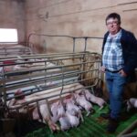 Optimismo ante las ventas de porcella de porc negre en Navidad