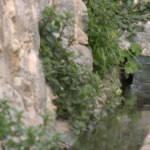 Sólo 10 municipios de Baleares publican datos sobre la calidad del agua