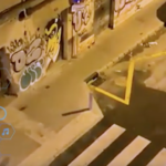 Los comerciantes denuncian la degradación de Palma con un vídeo de ratas en plena calle