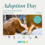 Porto Pi celebra “Adoption Day”, para fomentar la adopción responsable de animales