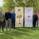 Hasta 36 'cellers' participarán en la XIX Fira del Vi de Pollença el 7 y el 8 de mayo
