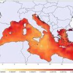 La temperatura del agua en el Mediterráneo alcanza niveles de calor de récord