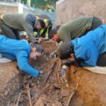 Identifican los restos de Aurora Picornell en la fosa de Son Coletes de Manacor