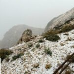 Llega la primera nevada a la Serra de Tramuntana
