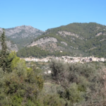 Selva presenta el Jardín de los Olivos de los países del Mediterráneo