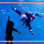 Palma Aquarium acoge el Primer Belén acuático de Baleares, entre las actividades especiales de su programación navideña