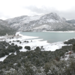 La nevada más copiosa de los últimos cinco años tiñe de blanco la Serra de Tramuntana