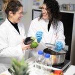 El alumnado y los docentes del Grado en Nutrición Humana y Dietética de ADEMA-UIB revisaron y planificaron los menús de 12 escoletas de PIMEM