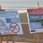 Los Tribunales suspenden la inversión de 11 millones de euros en proyectos para Playa de Palma