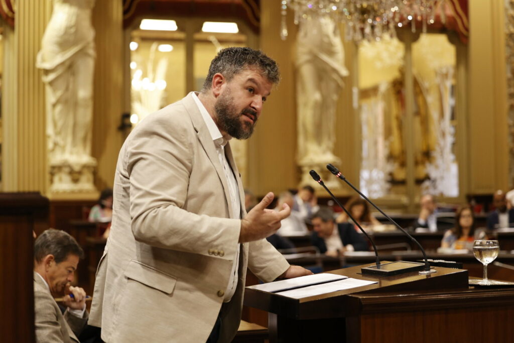 Lluís Apesteguia, Parlament, Més per Mallorca