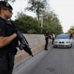 Detenidos dos jóvenes por robos y uno por conducir sin carnet en un control en Calvià