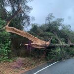 El fuerte temporal provoca centenares de incidencias en las Islas