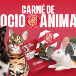 El Girona crea un carnet de socio para animales de compañía