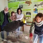 Visita el Centro de Conservación de la Fundación Vida Silvestre Mediterránea
