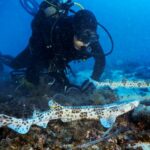 Ecos de Mediterráneo - Nuevo ciclo de ponencias sobre el mar impulsado por Fundación Palma Aquarium