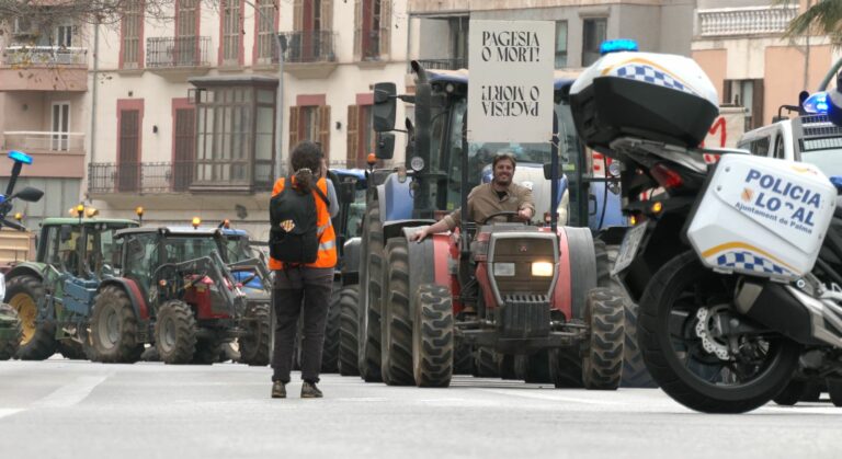 tractorada palma