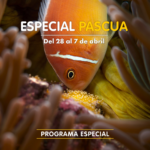 Experiencias educativas en Semana Santa con el Programa Especial de Palma Aquarium: ‘huevos marinos’
