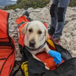 Cinco rescates de excursionistas en un solo día en la Serra de Tramuntana