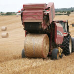 Agricultura realiza un nuevo pago de casi tres millones de euros al sector primario