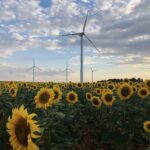 Iberdrola, reconocida por el Pacto Mundial de Naciones Unidas por su alto compromiso con la sostenibilidad