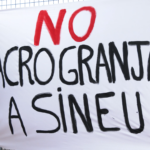 Sineu y sus vecinos se movilizan para frenar la puesta en marcha de una macrogranja de gallinas