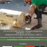 El domingo, 6 de octubre, se celebra la octava edición del VIII Concurso de Corte con Motosierra de Esporles