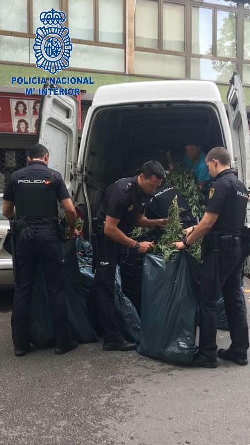 policia marihuana